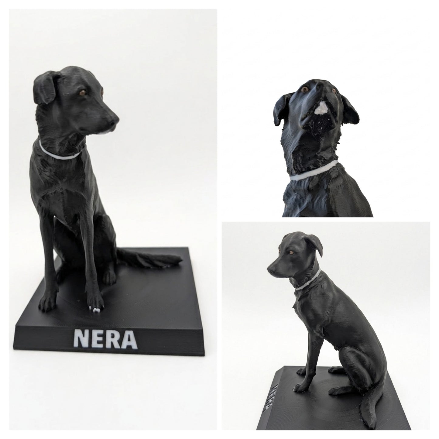 Dein Haustier als 3D Figur